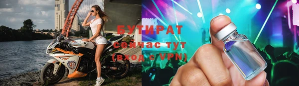 индика Инта