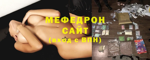 индика Инта