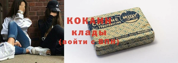 индика Инта