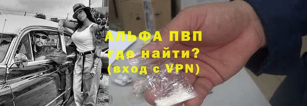 индика Инта