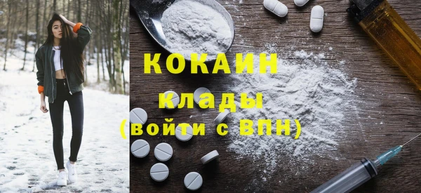 индика Инта