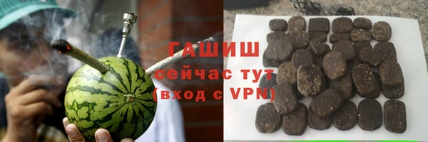 индика Инта