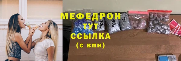 индика Инта