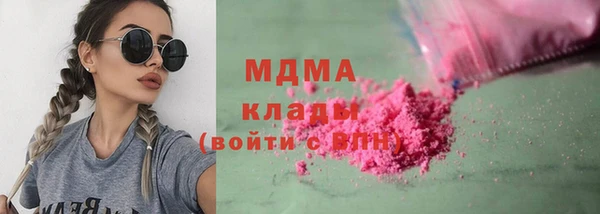 индика Инта