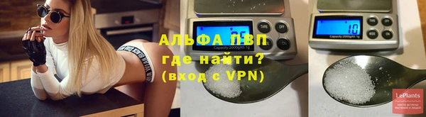 индика Инта