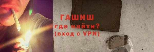 индика Инта