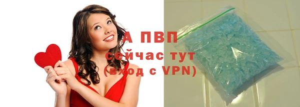 индика Инта
