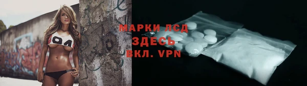 индика Инта