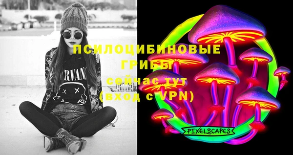 бошки Иннополис