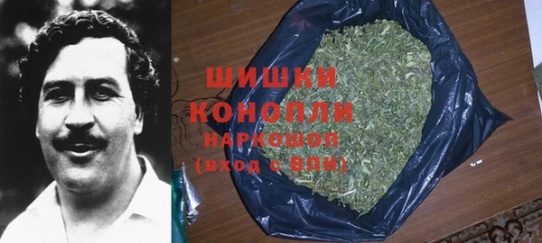 индика Инта