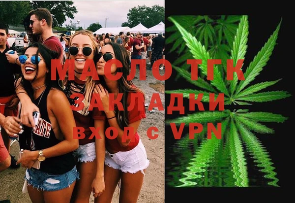 индика Инта