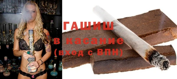индика Инта